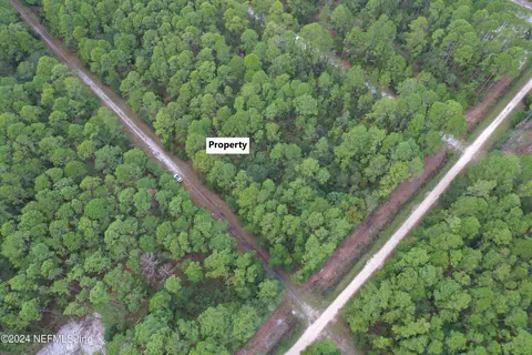 136 Helen Ave, Georgetown, FL 32139 photo 4