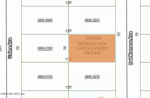 0220 Del Monaco Ave, Interlachen, FL 32148