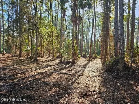 0 Shirley Cir, Georgetown, FL 32139