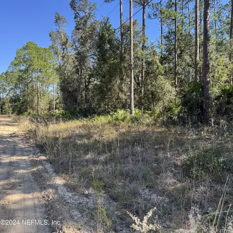 0 Phillips Rd, Interlachen, FL 32148