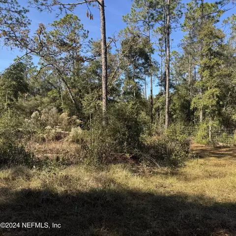 0 Rollins Rd, Interlachen, FL 32148