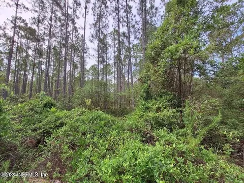 000 Unassigned, Interlachen, FL 32148