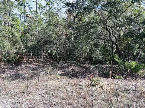 418 Rustic Rd, Satsuma, FL 32189
