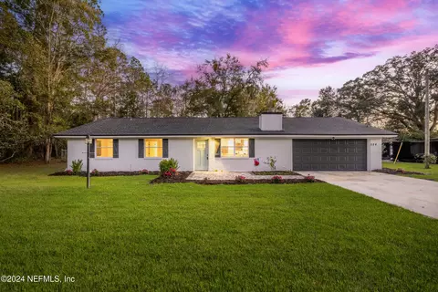 524 Pine Forest Dr, Fleming Island, FL 32003 photo 1