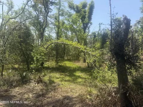 0 SW 77th Ter, Jasper, FL 32052 photo 6