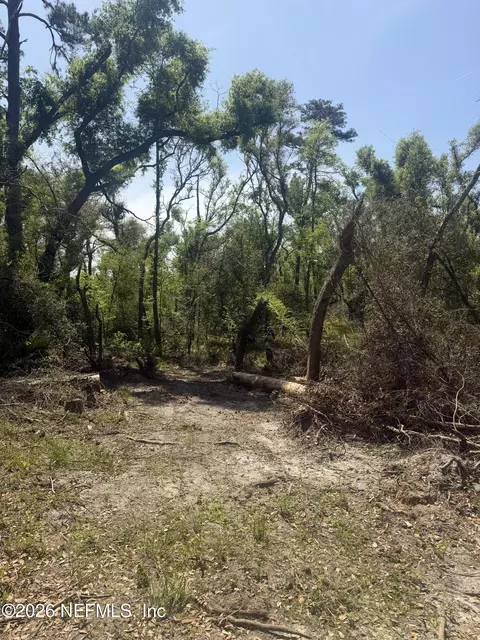 0 SW 77th Ter, Jasper, FL 32052 photo 5