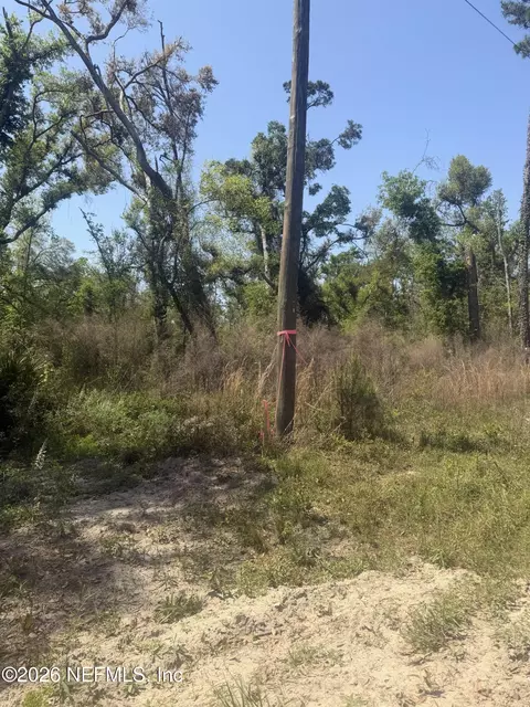 0 SW 77th Ter, Jasper, FL 32052 photo 4