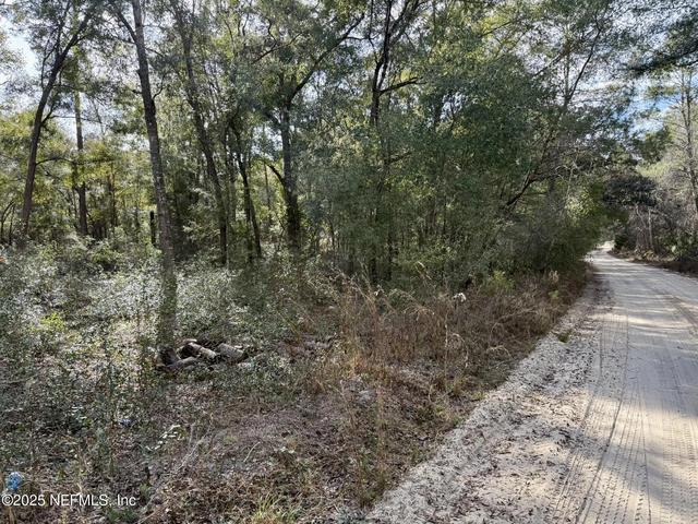 133 Cherry Dr, Pomona Park, FL 32181