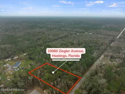10060 Zigler Ave, Hastings, FL 32145