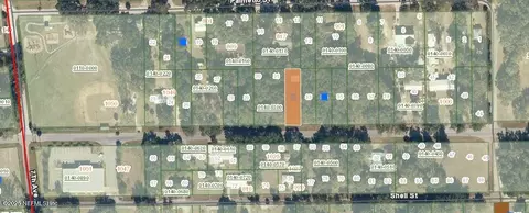 lot32 Elm St, Welaka, FL 32193