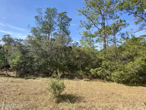103 Dolphin Dr, Georgetown, FL 32139