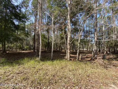 109 Dolphin Dr, Georgetown, FL 32139