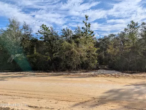 2090-0060 SW 60th Ave, Interlachen, FL 32148
