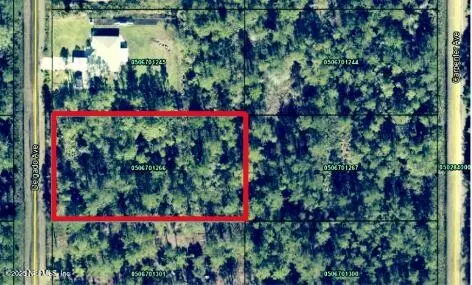 10500 Delgado Ave, Hastings, FL 32145