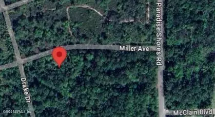 115 Miller Ave, Crescent City, FL 32112