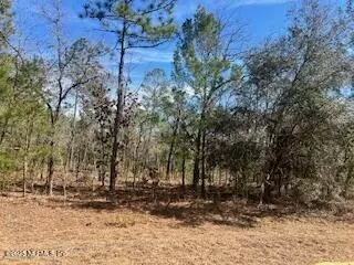 1891 Openwoods Rd, Middleburg, FL 32068