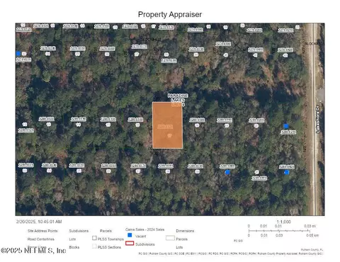 333 Laisy Dr, Georgetown, FL 32139 photo 1