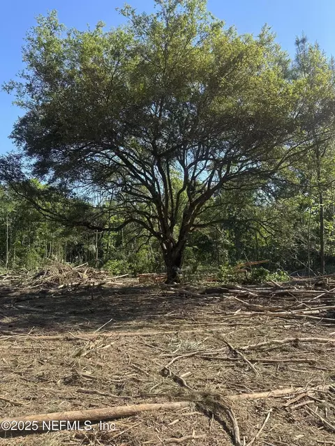 4891 Whittaker Rd, Hilliard, FL 32046