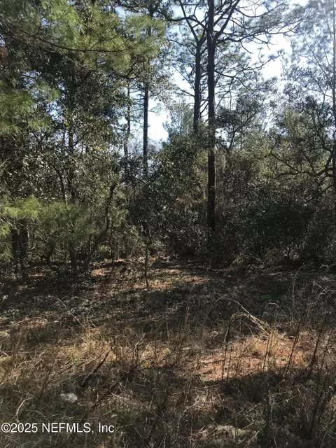 404 Mourning Dove Rd, Satsuma, FL 32189