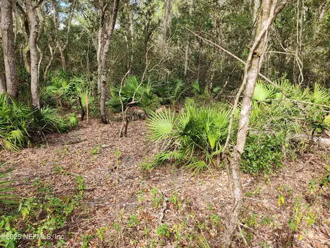 123 Chickasaw Pl, Satsuma, FL 32189