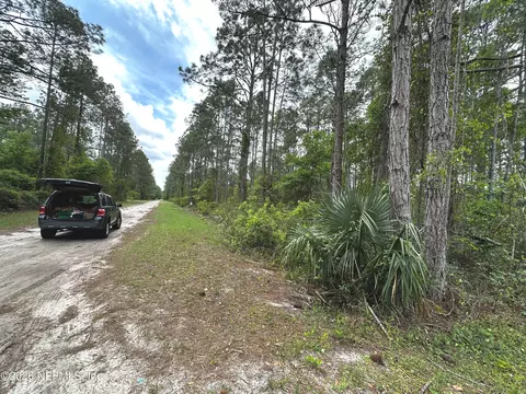000 Georgetown Denver Rd, Georgetown, FL 32139 photo 14