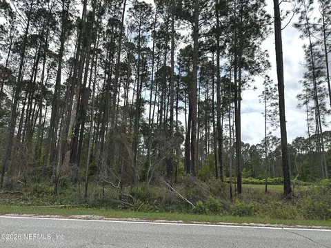 000 Georgetown Denver Rd, Georgetown, FL 32139 photo 9