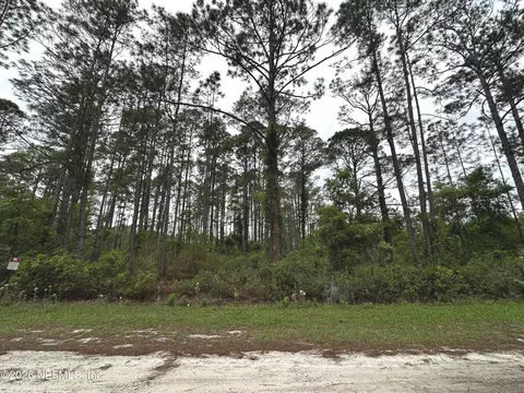 000 Georgetown Denver Rd, Georgetown, FL 32139 photo 10