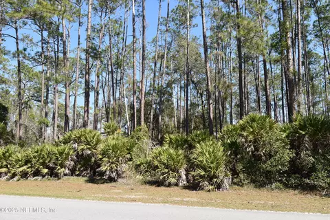 130 Whispering Pines Rd, Georgetown, FL 32139