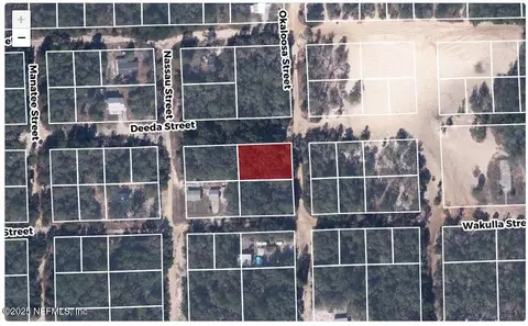 607 Deeda St, Florahome, FL 32140