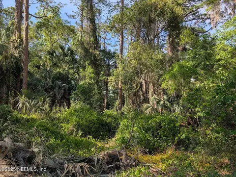 0 000 Carol Ave, Crescent City, FL 32112