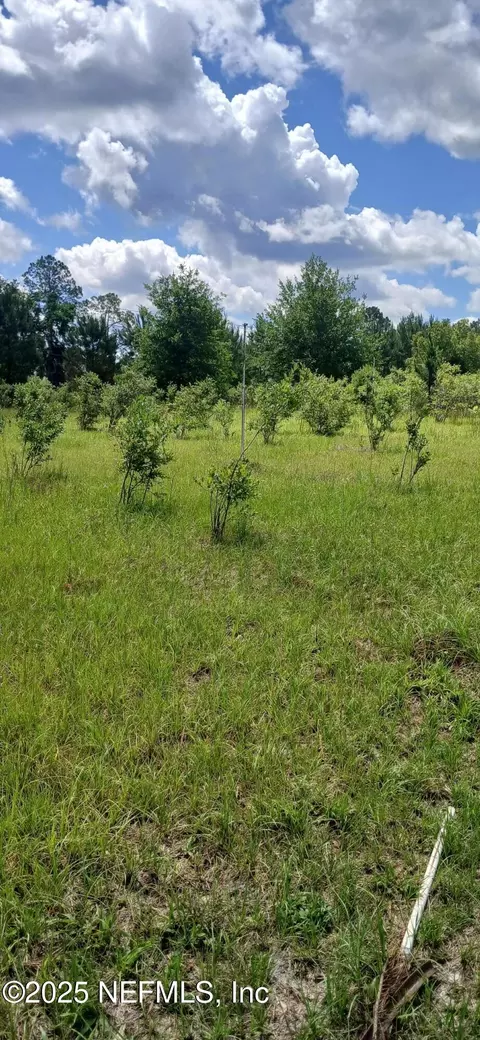 Other - 2995 Thunder Rd, Middleburg, FL 32068 photo 17 of 17