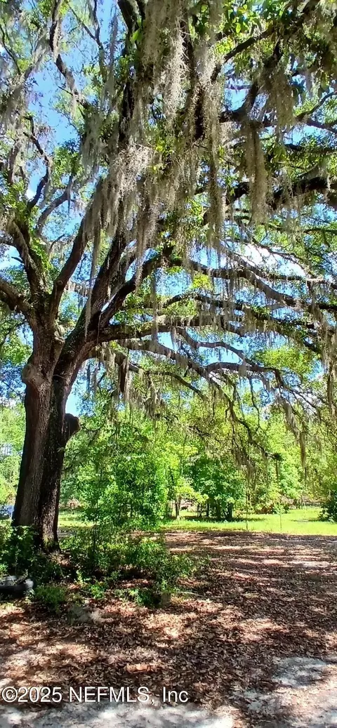 Other - 2995 Thunder Rd, Middleburg, FL 32068 photo 16 of 17