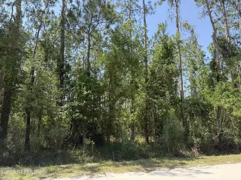 109 White Pine Ln, Georgetown, FL 32139