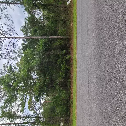233 Paradise Blvd, Georgetown, FL 32139