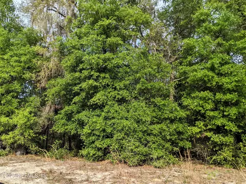 7468 Antietam Ave, Keystone Heights, FL 32656