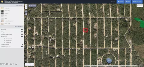 00 Usina Ave, Interlachen, FL 32148 photo 8