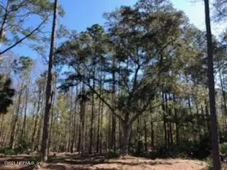 2850 Hilltop Rd, Saint Augustine, FL 32086 photo 8