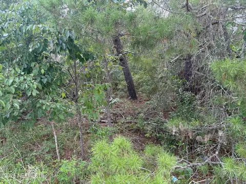 121 Istanbul St, Interlachen, FL 32148 photo 3