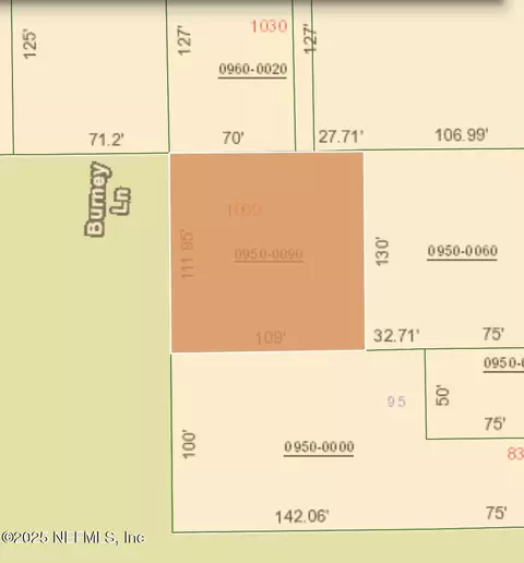 1009 Clemons Ln, Crescent City, FL 32112