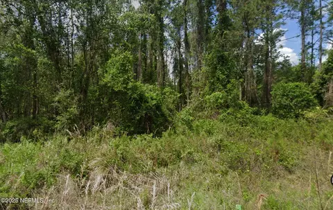 140 Edgemere Dr, Georgetown, FL 32139 photo 2