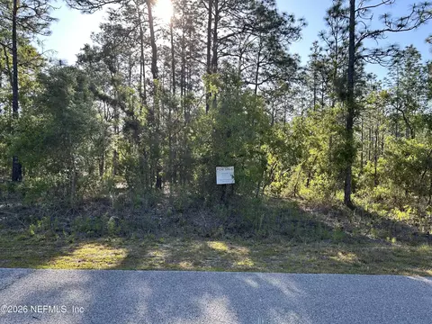lot20 SW Buena Vista Rd, Dunnellon, FL 34431