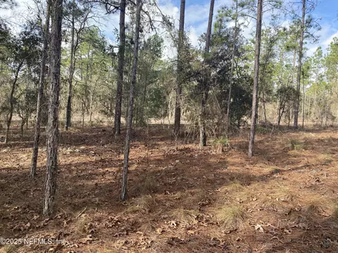lot20 SW Buena Vista Rd, Dunnellon, FL 34431