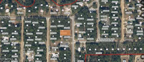 0 Webster St, Interlachen, FL 32148 photo 2