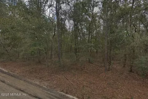 0 Pilchard Rd, Florahome, FL 32140 photo 4