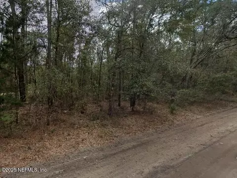 0 Pilchard Rd, Florahome, FL 32140 photo 2