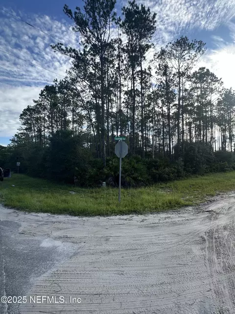00 Whispering Pines Rd, Georgetown, FL 32139