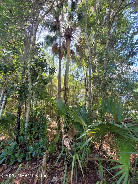 100 Oconnor Dr, Satsuma, FL 32189