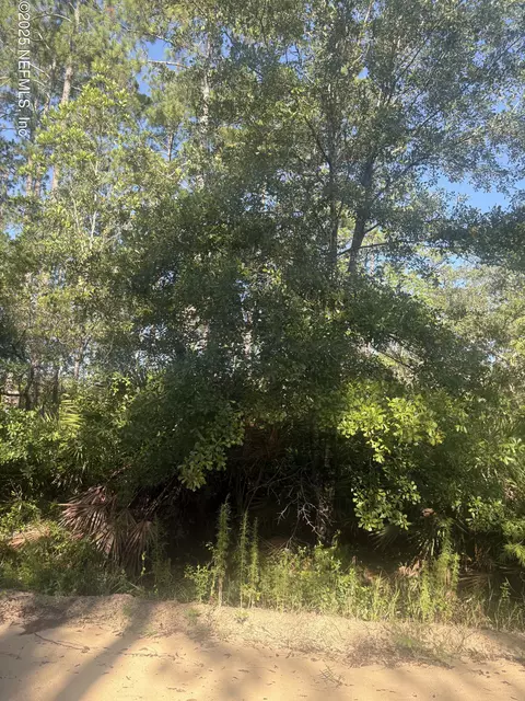 0030 Evans, Interlachen, FL 32148