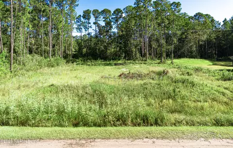 4620 Burdock Ct, Middleburg, FL 32068