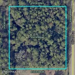 9755 Oliver Ave, Hastings, FL 32145